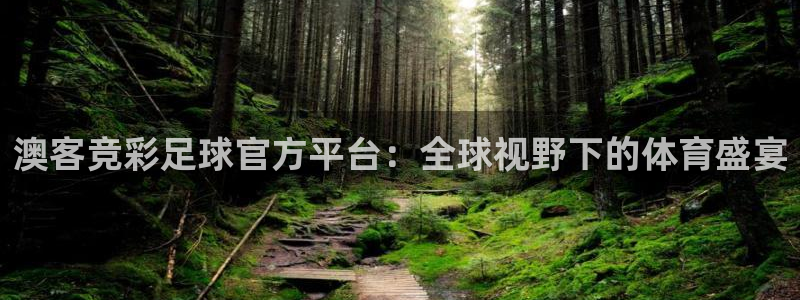 赢乐彩票4代理：澳客竞彩足球官方平台：全球视野下的体育盛宴