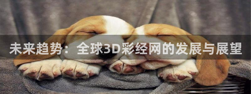 赢乐彩票体育和杏耀是哪个公司的：未来趋势：全球3D彩经网的发展与展望