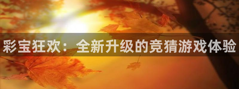 赢乐彩票3官网登录：彩宝狂欢：全新升级的竞猜游戏体验