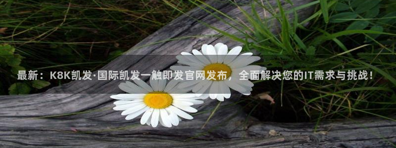 东莞市赢乐彩票电子科技有限公司：最新：K8K凯发·国际凯发一触即发官网发布，全面解决您的IT需求与挑战！