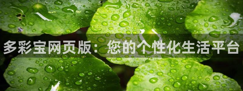 赢乐彩票体育官网登录：多彩宝网页版：您的个性化生活平台