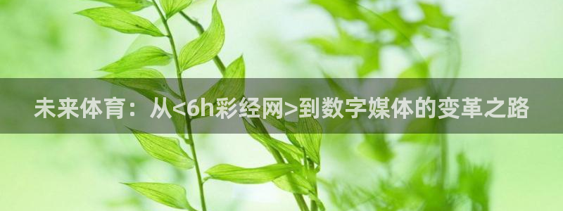 赢乐彩票能源：未来体育：从<6h彩经网>到数字媒体的变革之路